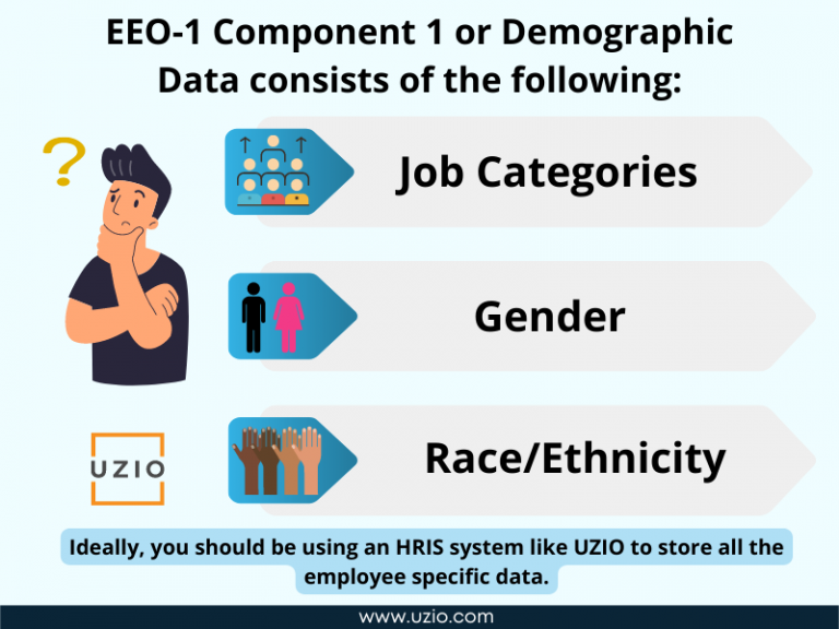 EEO-1 Component 1 consists of Job Categories, Gender and Race/Ethnicity