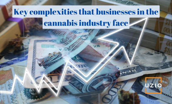 Key complexities that businesses in the cannabis industry face