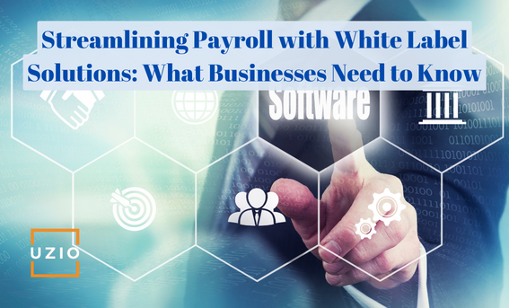 Simplifying Payroll Processing: A Business Owner's Guide to Choosing a White Label Payroll Solution