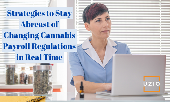 Navigating Ever-Changing Cannabis Payroll Regulations