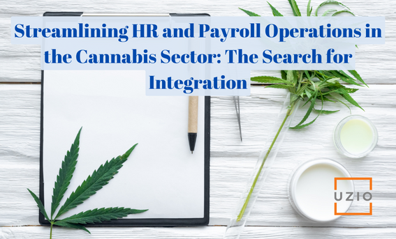 How Cannabis Companies Can Find the Perfect Integrated Payroll and HRIS Solution