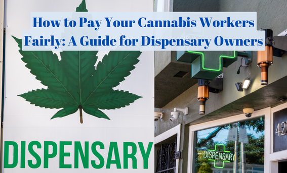 A Guide to Creating an Equitable Payroll System for Your Cannabis Dispensary