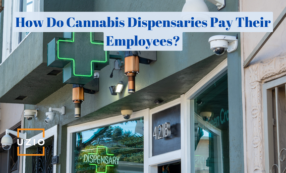 How to Pay Your Cannabis Employees Legally and Efficiently