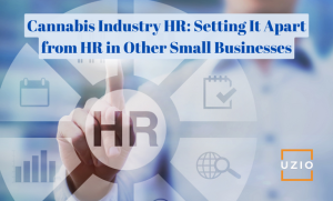 Cannabis Dispensary HR: What Sets It Apart from HR in Other Small Businesses