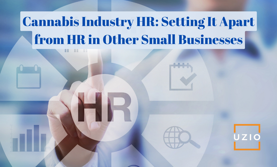 Distinctive HR Challenges: Cannabis Dispensaries vs. Other Small Businesses