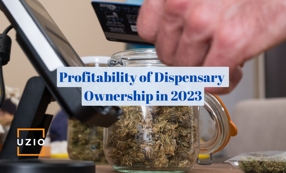 Dispensary Owner Earnings in 2023