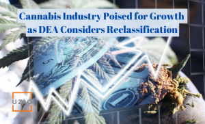 Cannabis Moving from Schedule I to Schedule III: What Does It Mean for the Industry?