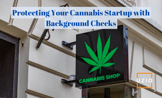 Best Practices for Background Checks in Cannabis Startup Hiring