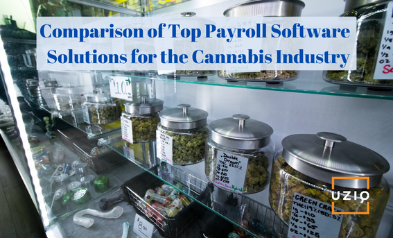 Comparison of Top Payroll Software Solutions for the Cannabis Industry