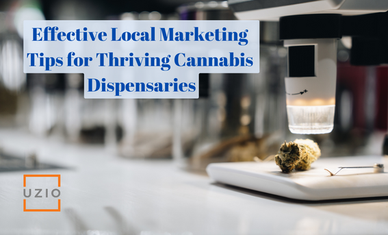 Cannabis Dispensaries: Unlocking Potential with Local Marketing