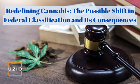 Cannabis Reclassification: Understanding the Potential Changes and Effects