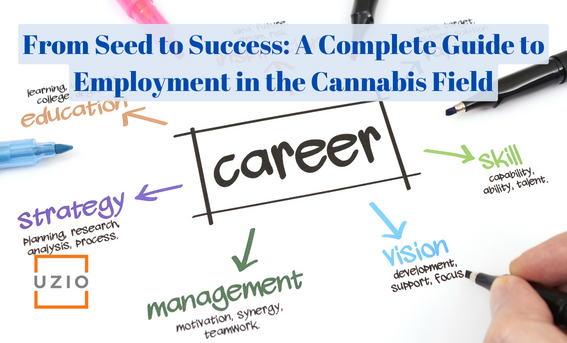 Guide to Careers in the Cannabis Industry