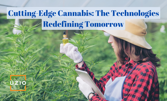 Cannabis Tech Breakthroughs: Pioneering Innovations for the Next Generation