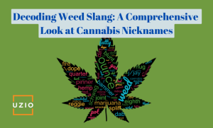 Cannabis Lingo: The Most Popular Weed Slang Terms Explained