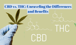 CBD vs. THC: A Comprehensive Guide To Understanding The Difference