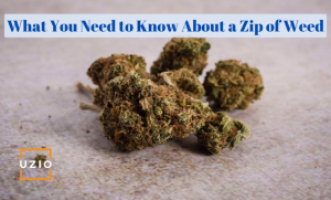 Zip of Weed: What is it and How Much Does It Cost?