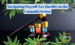 How to Overcome Payroll Tax Challenges in the Cannabis Industry