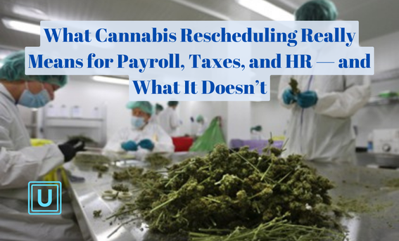 What Cannabis Rescheduling Really Means for Payroll, Taxes, and HR — and What It Doesn’t