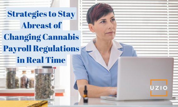 How to Stay Up-to-Date on Changing Cannabis Payroll Regulations in Real Time
