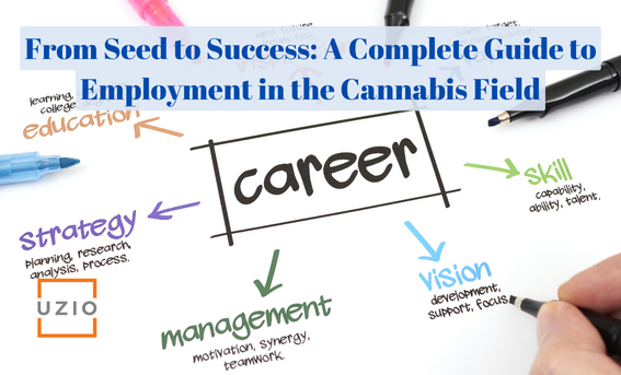 Exploring Careers in Cannabis: A Comprehensive Guide to Marijuana Industry Jobs